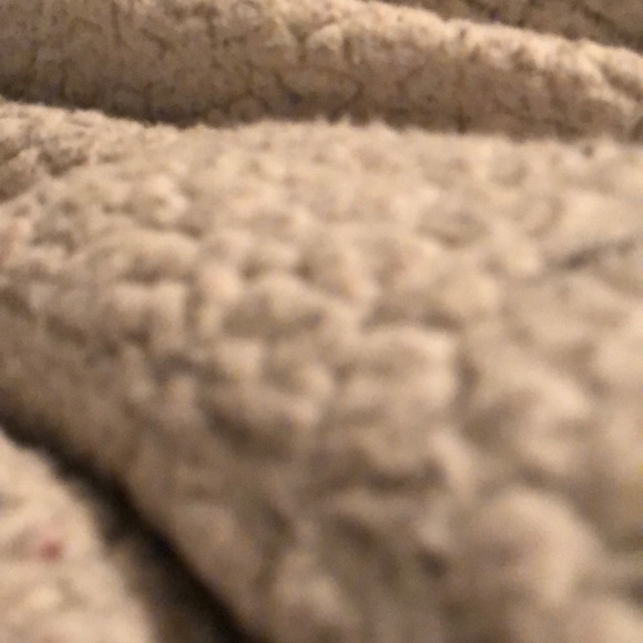 Meet your Posher, Lola - Picture 1 of 1